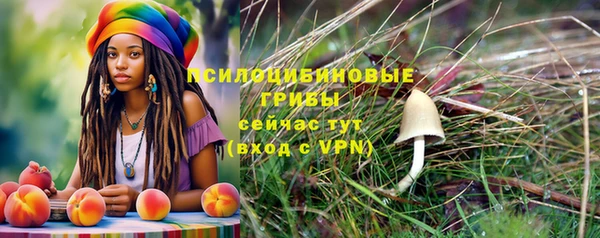 марихуана Белокуриха
