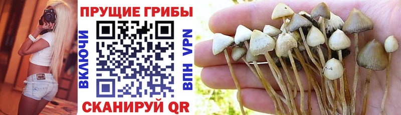 Галлюциногенные грибы мицелий  ОМГ ОМГ ссылки  Клин 