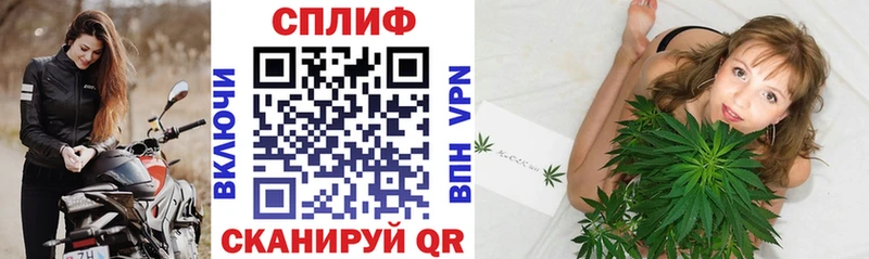 Марихуана OG Kush  Клин 